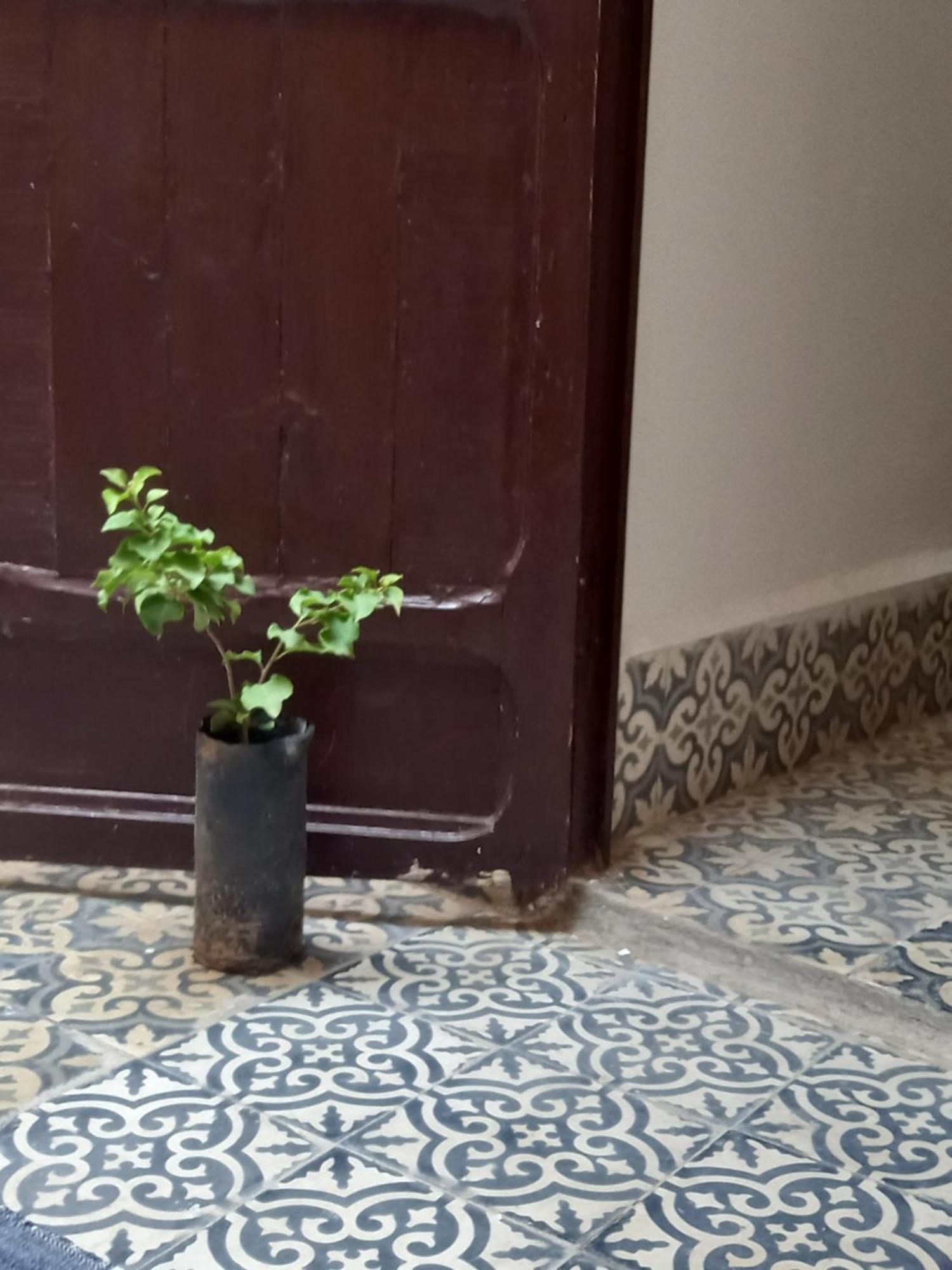 Juli'S Acomodação com café da manhã Marraquexe Exterior foto